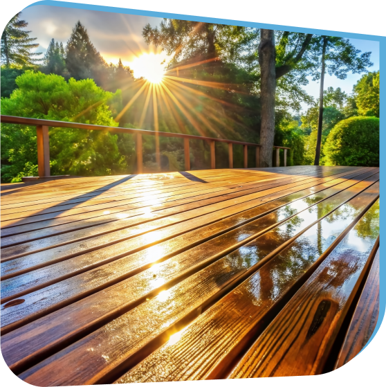 Wood, Cedar, and Composite Siding