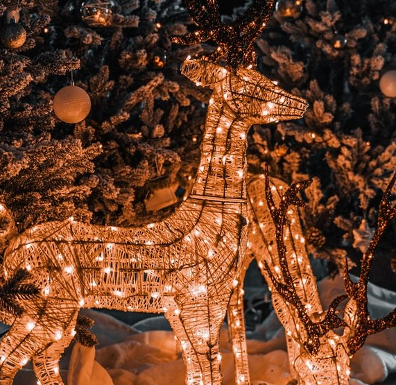 Christmas Light Installation Salt Lake and Summit County